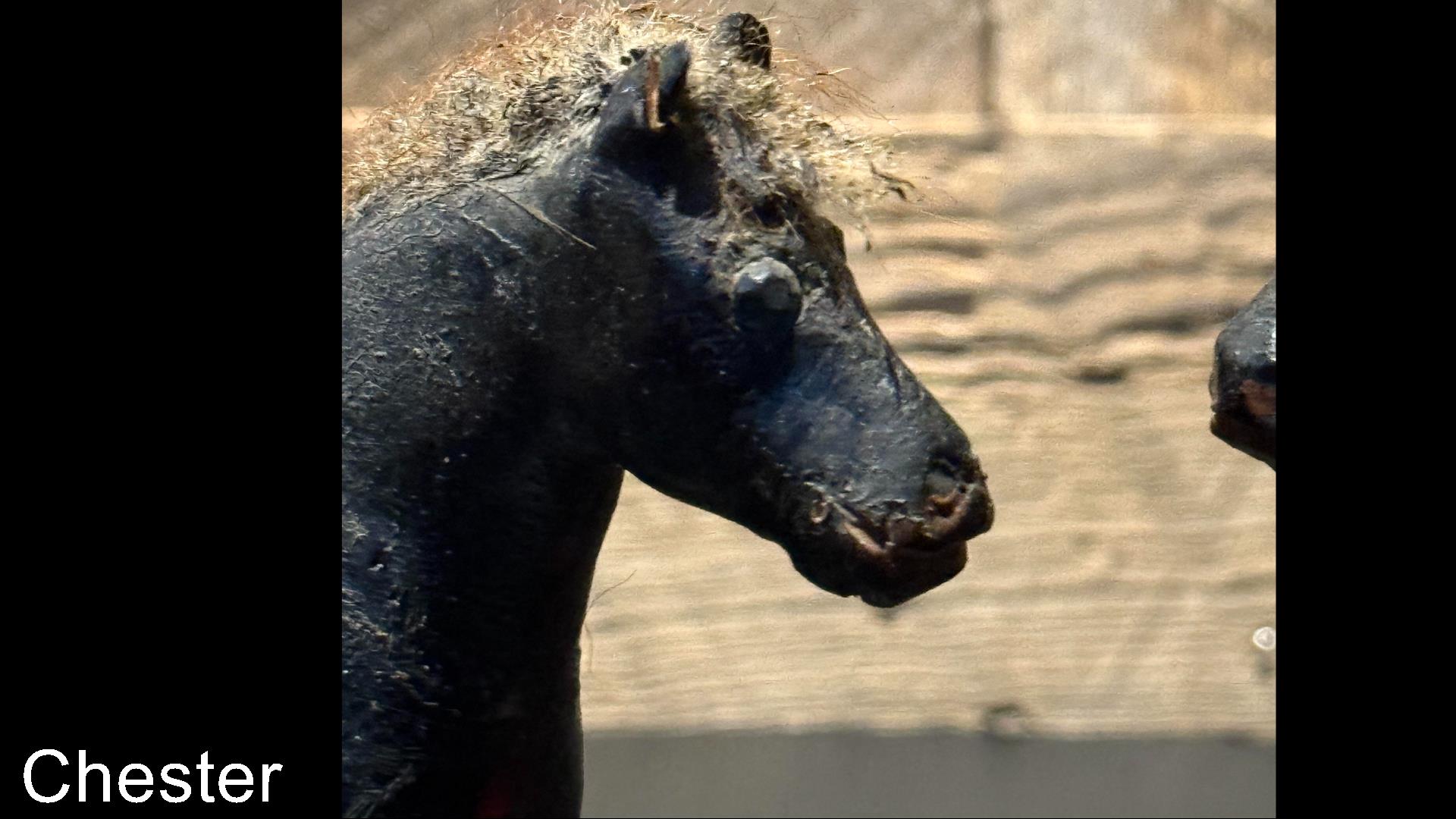 Petits chevaux anciens datant du début du 20ème siècle